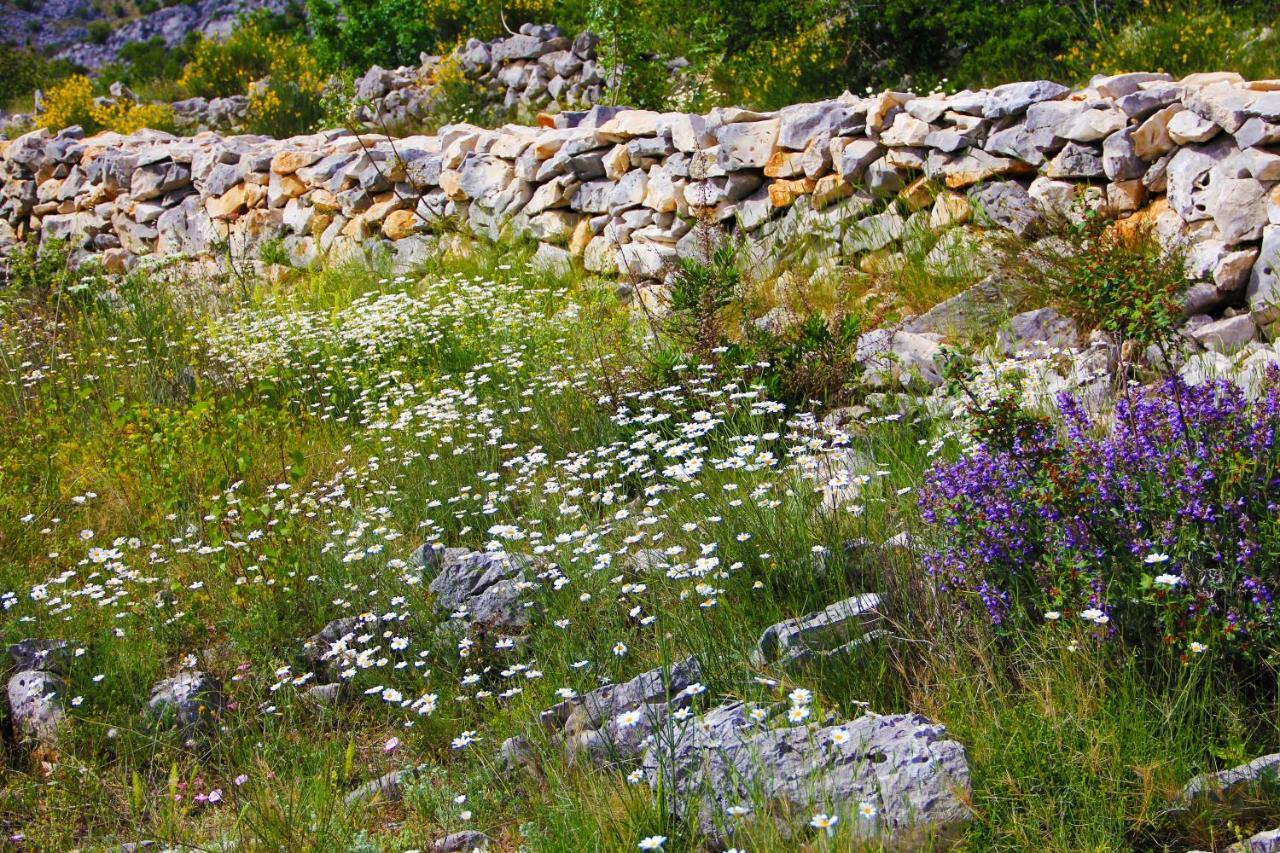 Villa Zlatno Sunce In The Hills Near Trogir Vrsine Zewnętrze zdjęcie