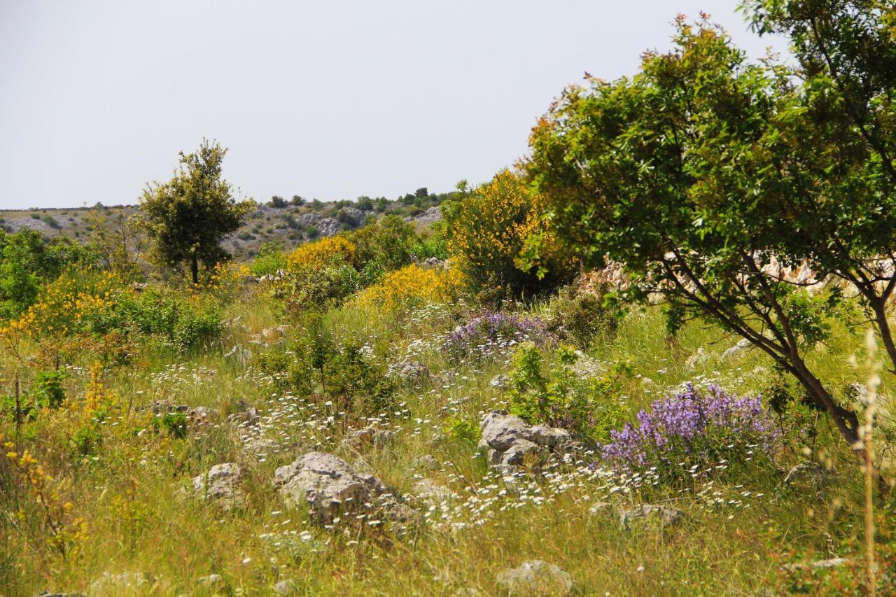 Villa Zlatno Sunce In The Hills Near Trogir Vrsine Zewnętrze zdjęcie
