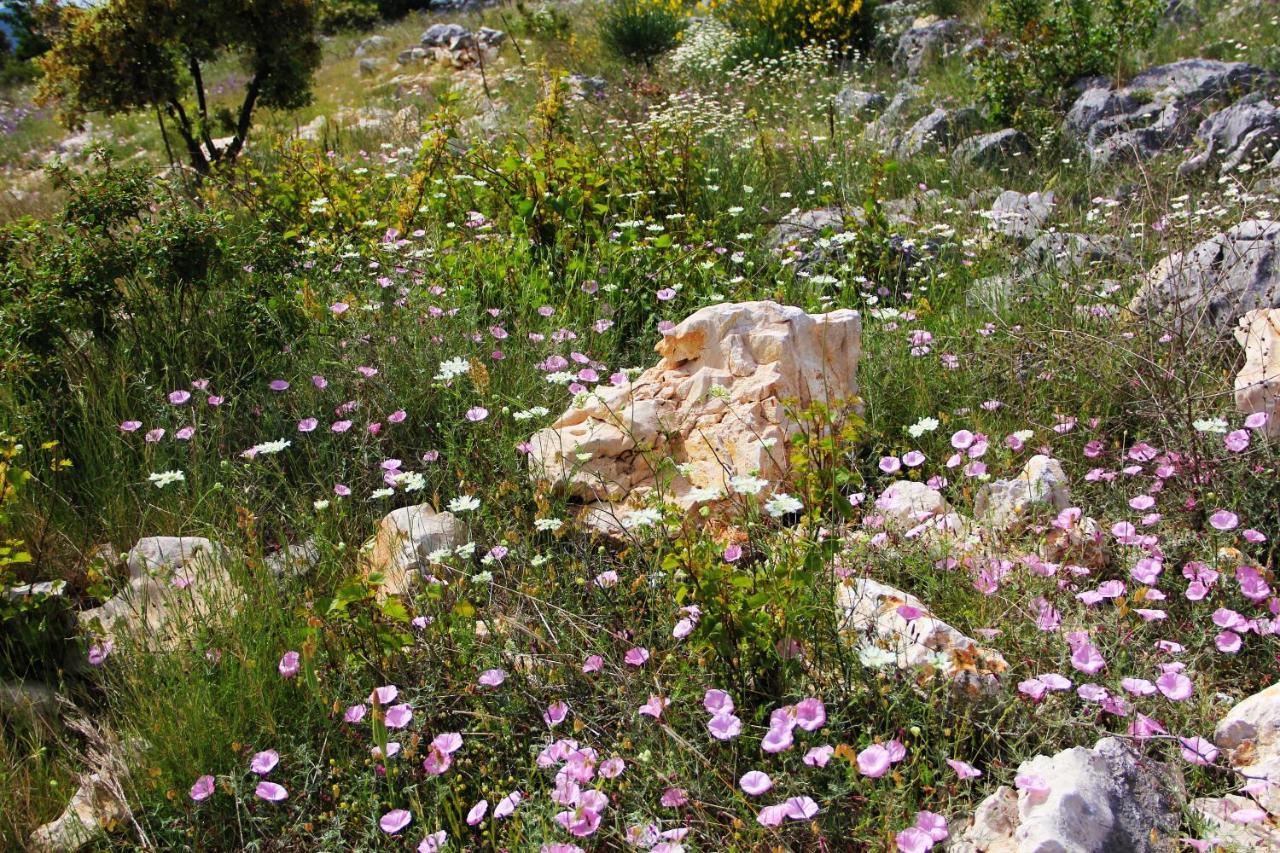 Villa Zlatno Sunce In The Hills Near Trogir Vrsine Zewnętrze zdjęcie